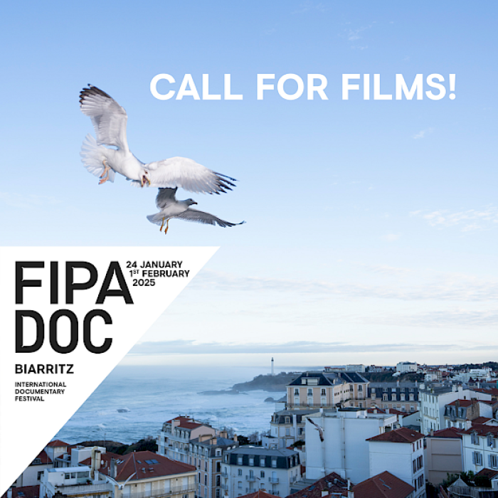 FIPADOC 2025 Call for films DOC AROUND EUROPE